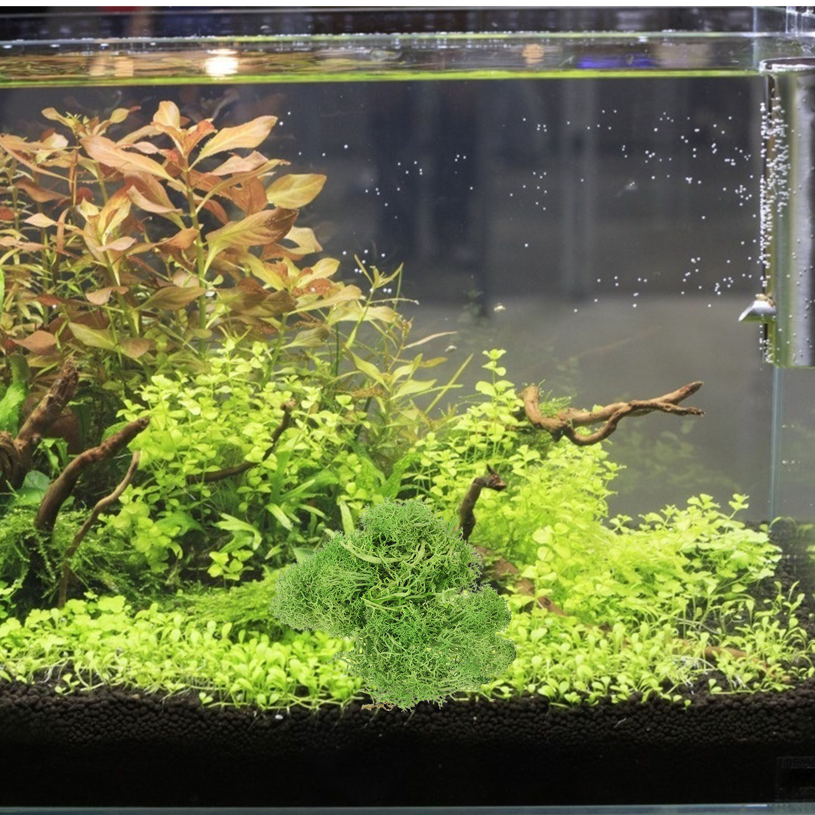 Sphagnum Moss Dry - มอสส์สีน้ำตาลสำหรับตกแต่งภูมิทัศน์ มอสส์ปลอมสำหรับตกแต่งภายนอกและภายในอาคาร ต้นไม้ประดิษฐ์สำหรับงานฝีมือ บอนไซประดิษฐ์สำหรับตกแต่ง
