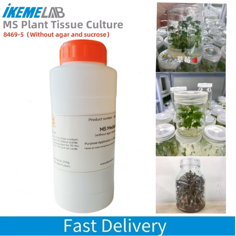 Agar Tissue Culture - IKEME 250g Lab MS Medium ไม่มีวุ้นและน้ําตาล