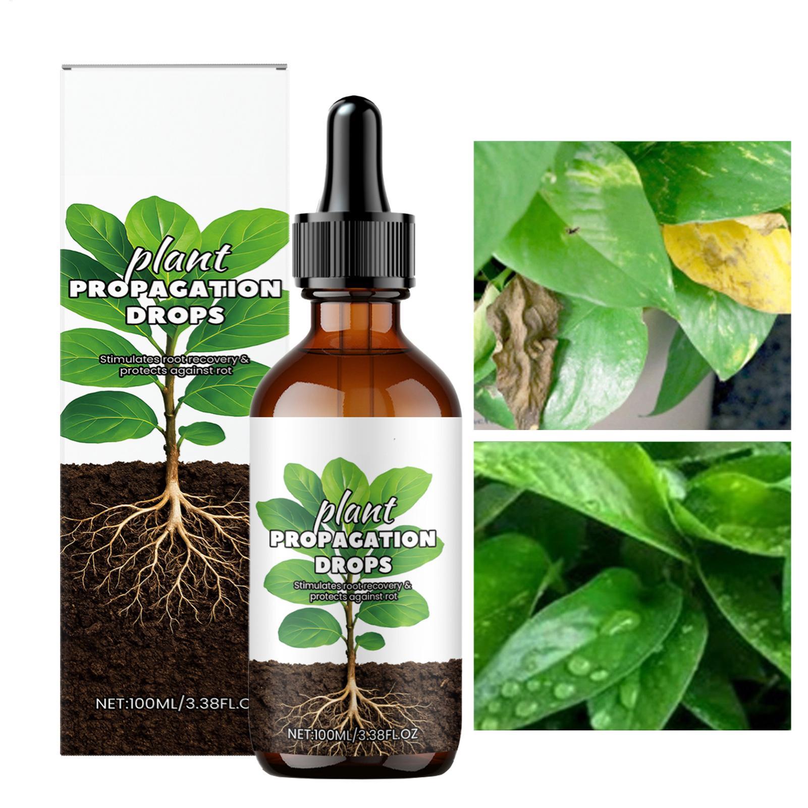 Root Stimulator Liquid - น้ำยาเร่งราก 100 มล. น้ำยากระตุ้นการเจริญเติบโตของราก สำหรับพืชที่มีสุขภาพดี รากแข็งแรง