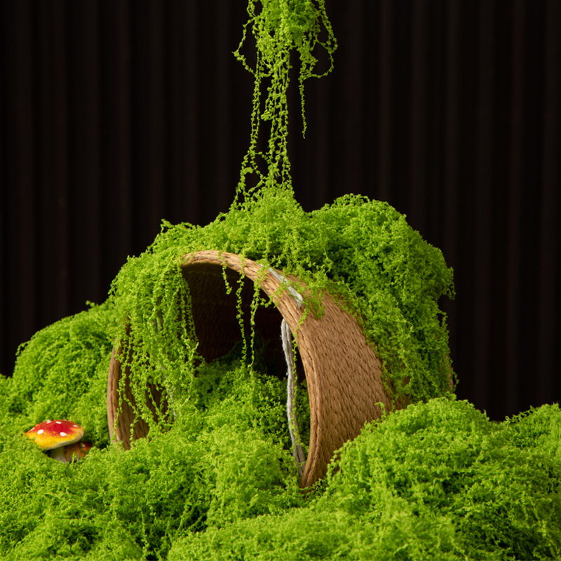 Sphagnum Moss Dry - มอสอมตะ 200 กรัม สำหรับงาน DIY ตกแต่งบ้าน