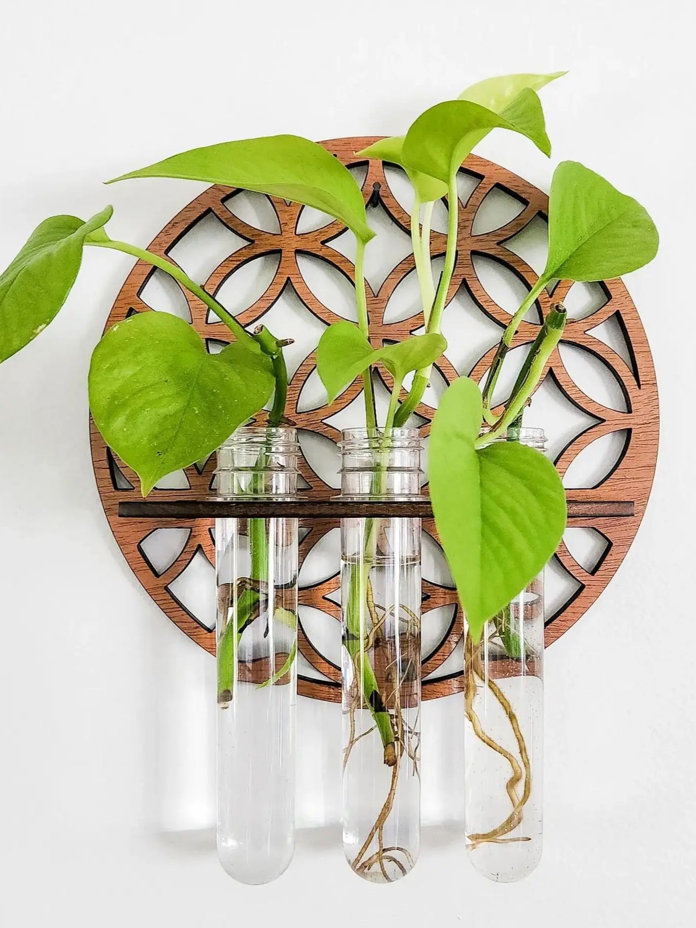 Propagation Station Vase - Garden Wall Planters ในร่มไม้วงกลมแขวนผนังแขวนแจกันดอกไม้ Rack 3