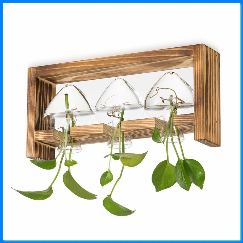 Propagation Station Vase - สถานีเพาะพันธุ์พืชแบบแก้ว: แจกันวินเทจตกแต่งพร้อมชุดกรอบไม้สำหรับห้องนั่งเล่น ชั้นวางของสำนักงาน-A50M