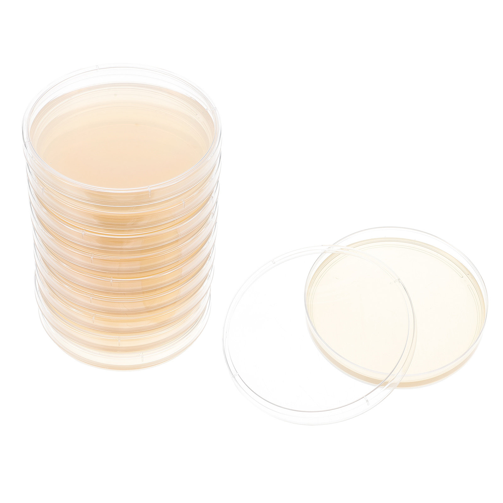 Agar Tissue Culture - แผ่นเพาะเชื้ออะการ์พร้อมสารอาหาร 10 ชิ้น สำหรับงานวิทยาศาสตร์ โปรเจกต์งานวิทยาศาสตร์ ใช้ในห้องปฏิบัติการ