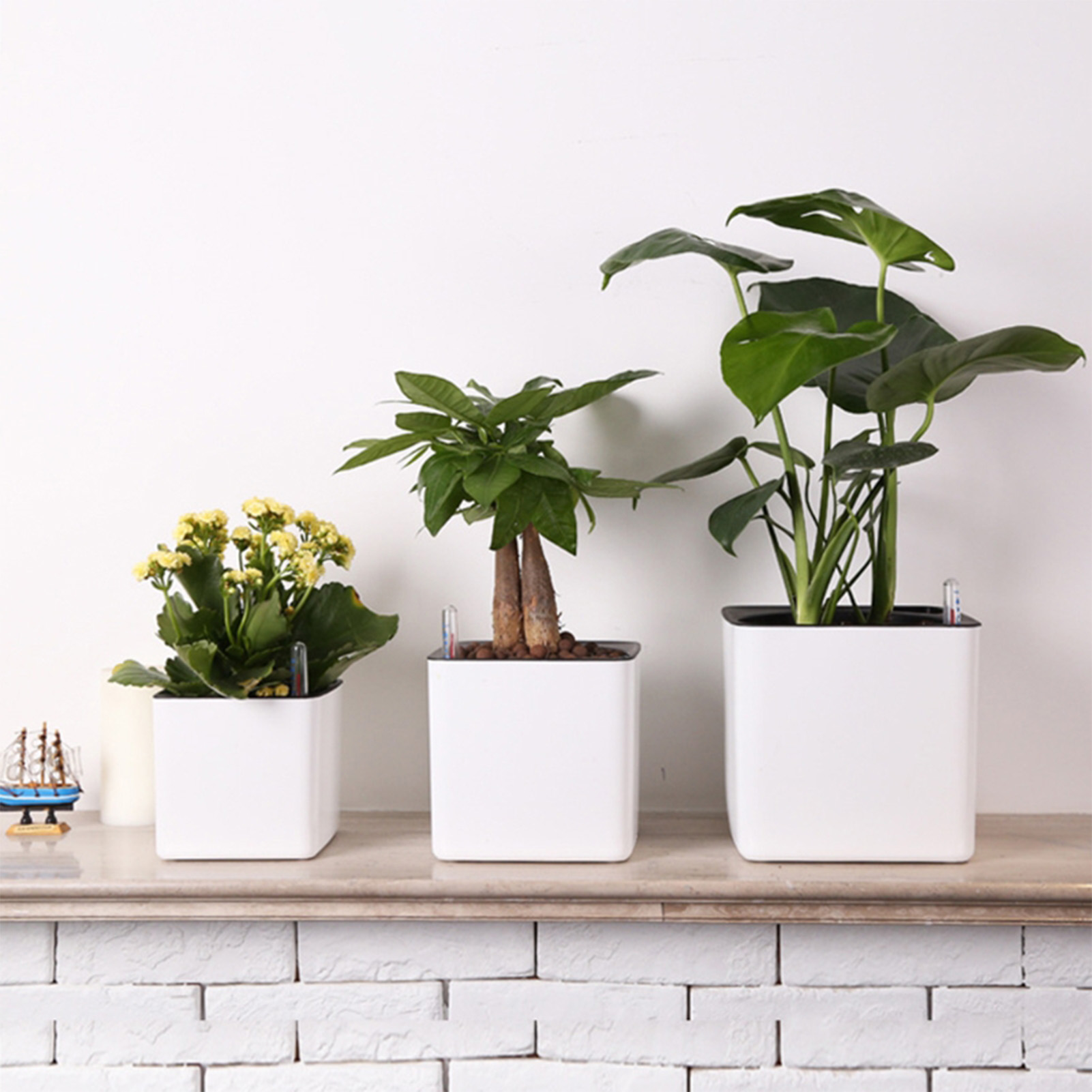 Self Watering Insert - กระถางปลูกต้นไม้แบบรดน้ำเองพร้อมตัวบ่งชี้ระดับน้ำ สีขาว กระถางปลูกต้นไม้แบบรดน้ำเอง กระถางตกแต่งทันสมัย