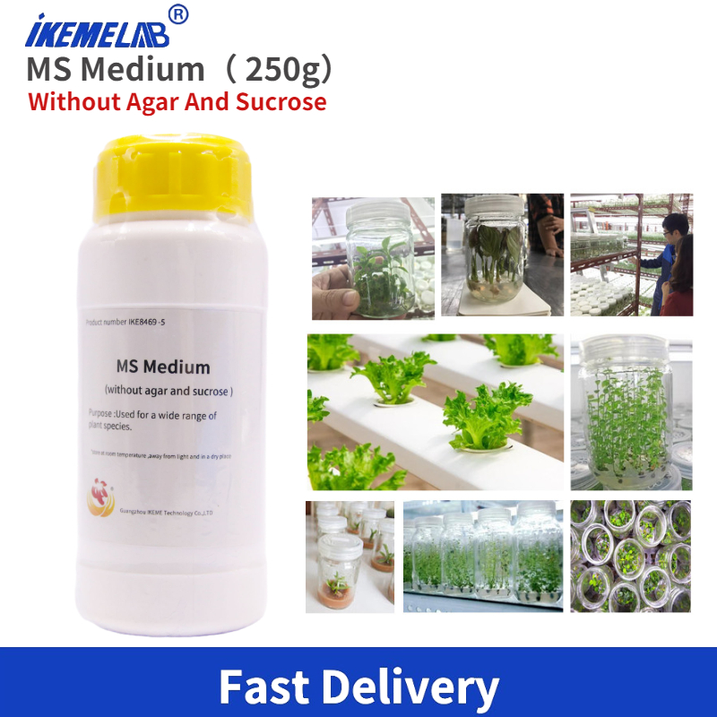 Agar Tissue Culture - IKEME Lab MS Medium 250g Without