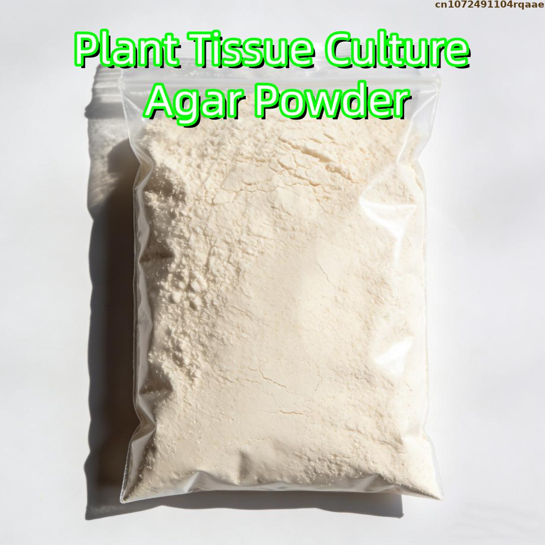 Agar Tissue Culture - ผงอะการ์เพาะเลี้ยงเนื้อเยื่อพืชเกรดพรีเมียม ความแข็งแรงของเจลสูง สำหรับการขยายพันธุ์ไมโคร ใช้ได้กับสื่อ MS เกรดสำหรับห้องปฏิบัติการ