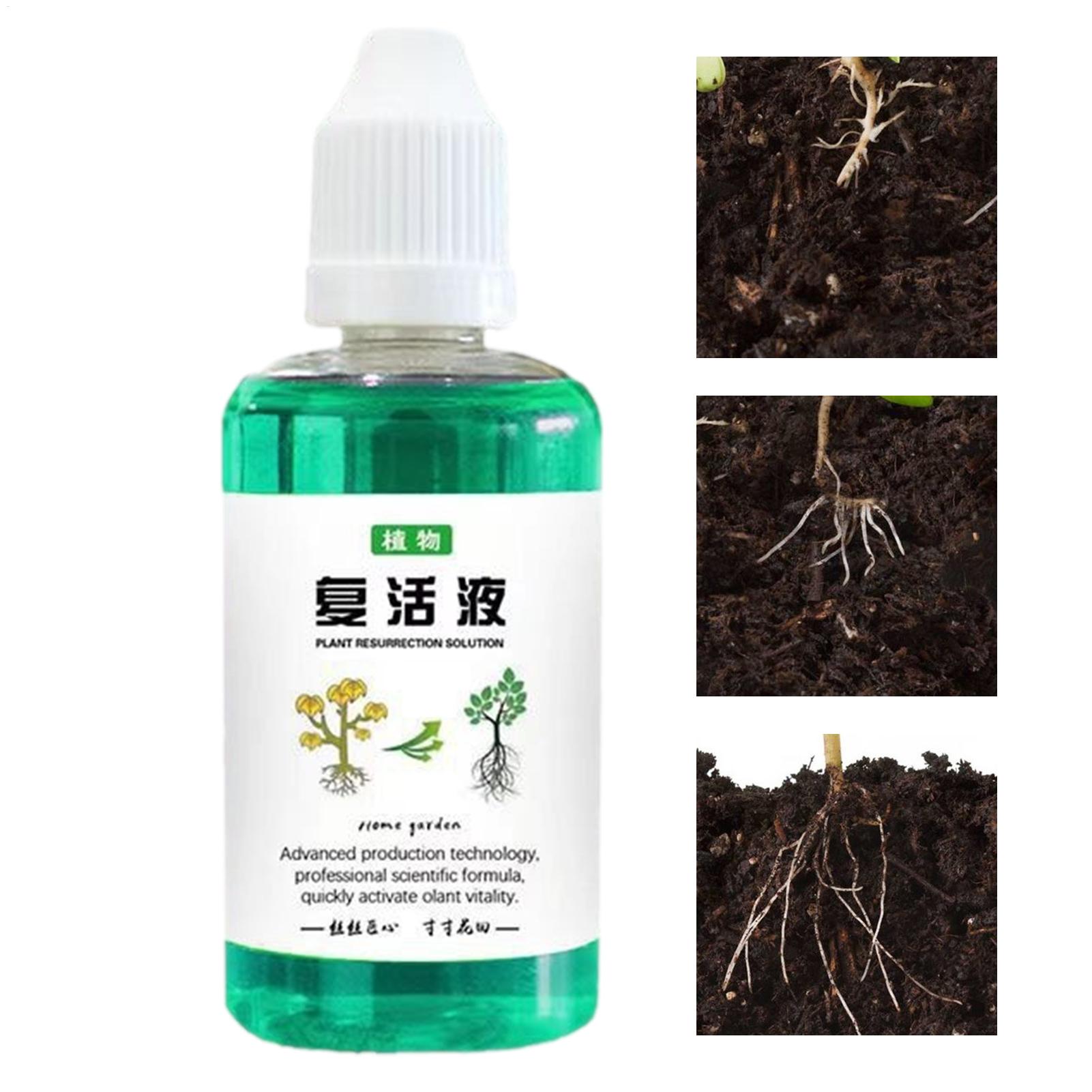 Root Stimulator Liquid - สารกระตุ้นรากสำหรับพืช 50 มล. สารเพิ่มการเจริญเติบโตของพืช สารกระตุ้นรากสำหรับไม้อวบน้ำ ปุ๋ยสำหรับพืชในร่ม