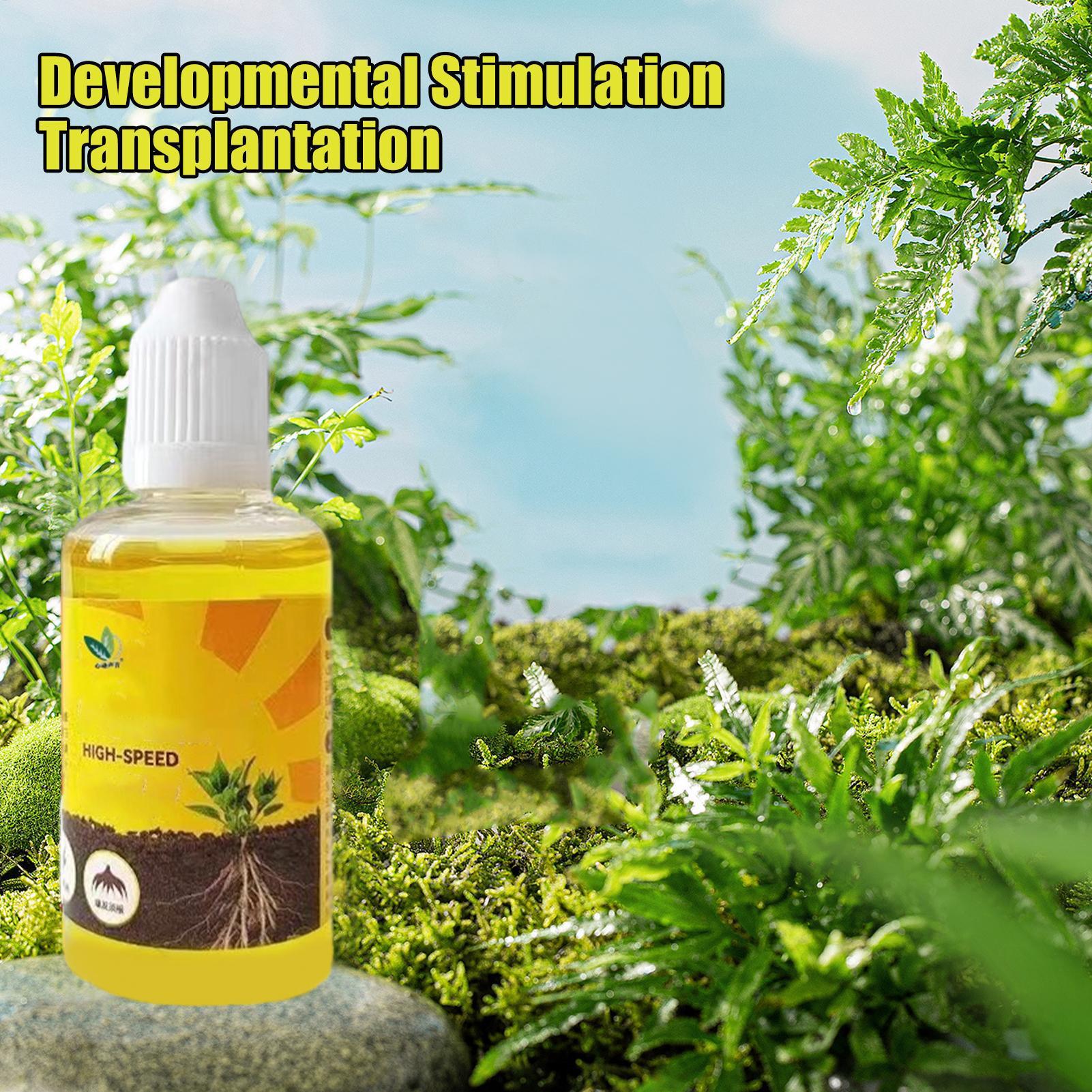 Root Stimulator Liquid - Plant Resurrection Liquid 50ml ดอกไม้ผลไม้ผักปุ๋ย Nutrient