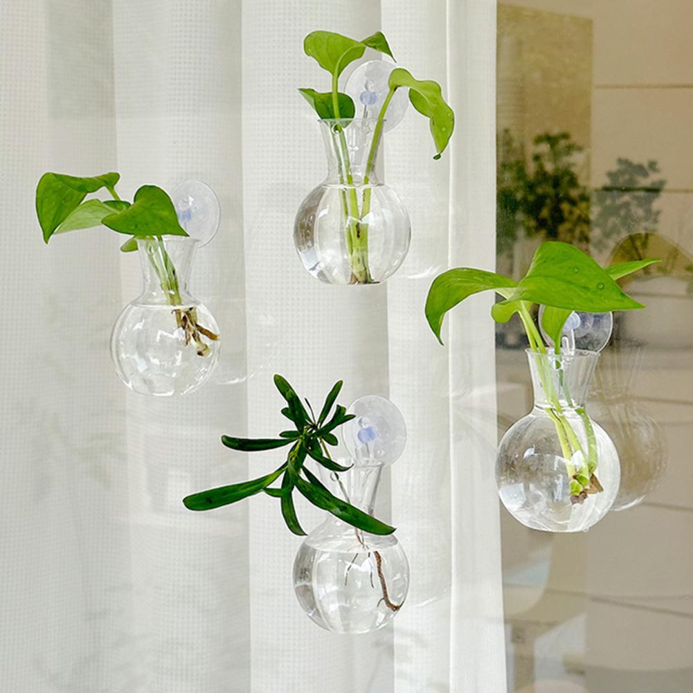 Propagation Station Vase - หลอดเพาะพันธุ์พืชแบบมีถ้วยดูด 1/2/3/4/6/8 ชิ้น กระถางเพาะพันธุ์แบบใส แจกันเพาะพันธุ์แบบตั้งหน้าต่าง
