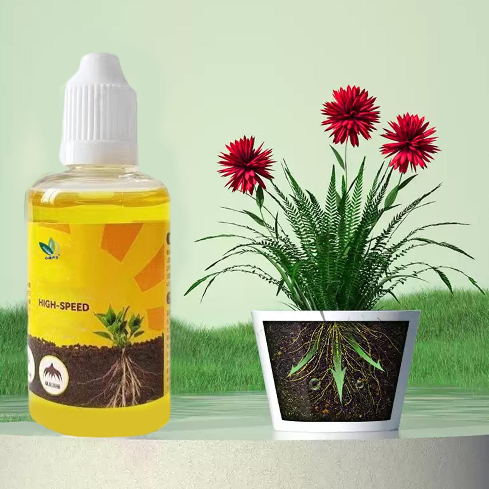 Root Stimulator Liquid - น้ำยาเร่งรากพืช 50 มล. สูตรสารอาหารเข้มข้น กระตุ้นการแตกราก ปุ๋ยน้ำเร่งรากสำหรับผลไม้