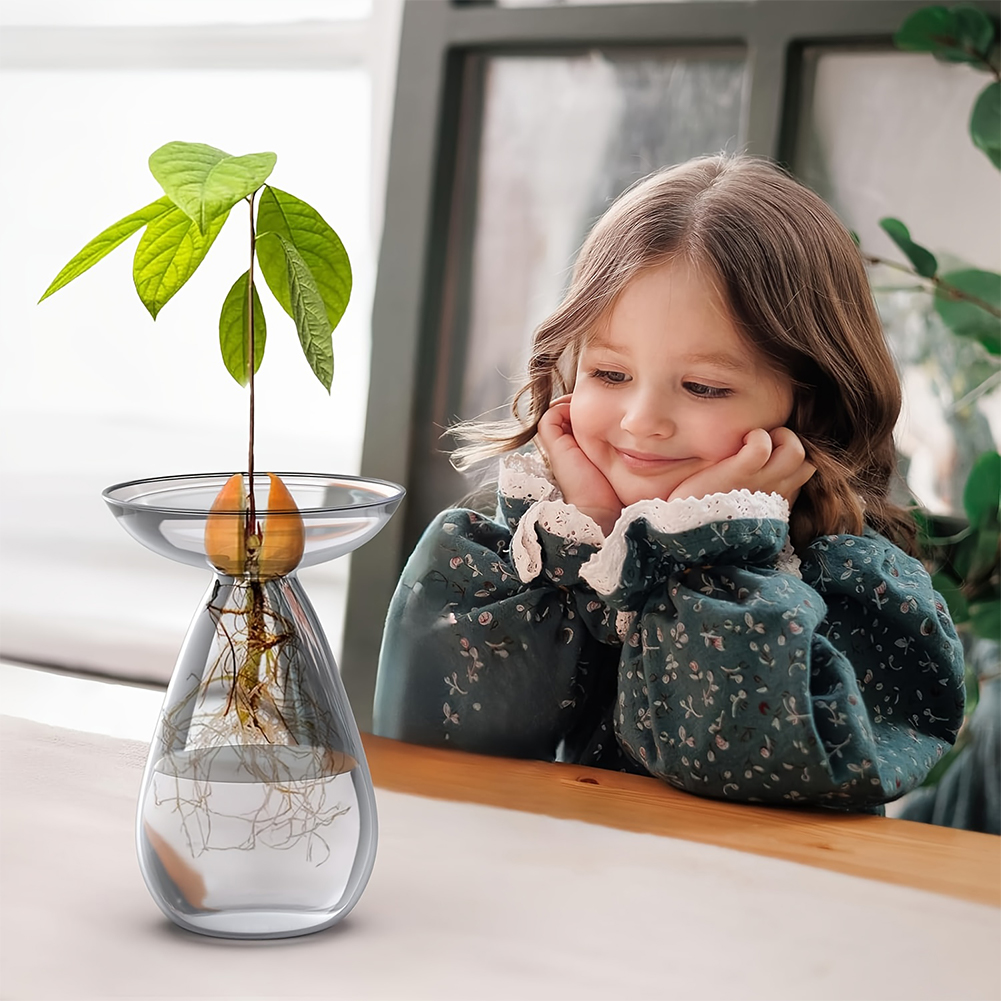 Propagation Station Vase - แจกันเพาะเมล็ดอะโวคาโด แจกันแก้วใสสำหรับเพาะพันธุ์ต้นอะโวคาโด แจกันดอกไม้สำหรับคนรักการจัดสวน ของตกแต่งบ้าน
