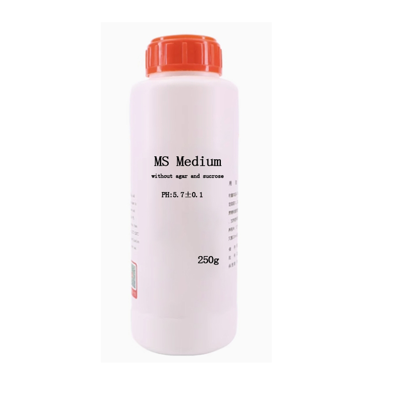 สารอาหาร MS Medium ไม่มีวุ้นหร - Agar Tissue Culture บทวิจารณ์และราคา