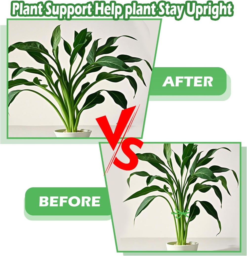 ดอกไม้StemสนับสนุนStakesปีนเขา - Sphagnum Moss Dry บทวิจารณ์และราคา