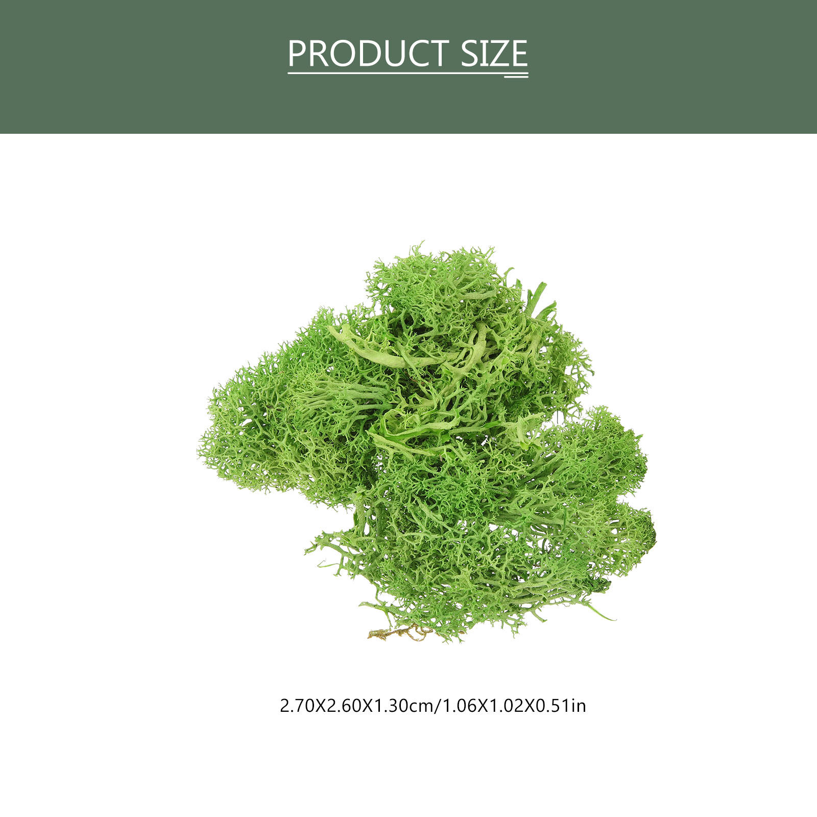 มอสส์สีน้ำตาลสำหรับตกแต่งภูมิท - Sphagnum Moss Dry บทวิจารณ์และราคา