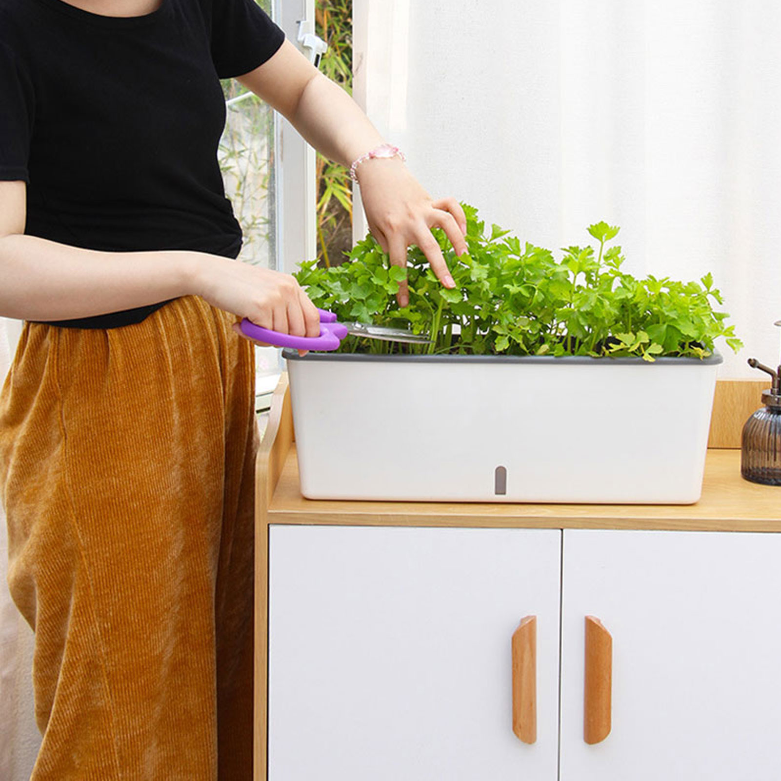 กระถางปลูกต้นไม้รดน้ําด้วยตนเอ - Self Watering Insert บทวิจารณ์และราคา