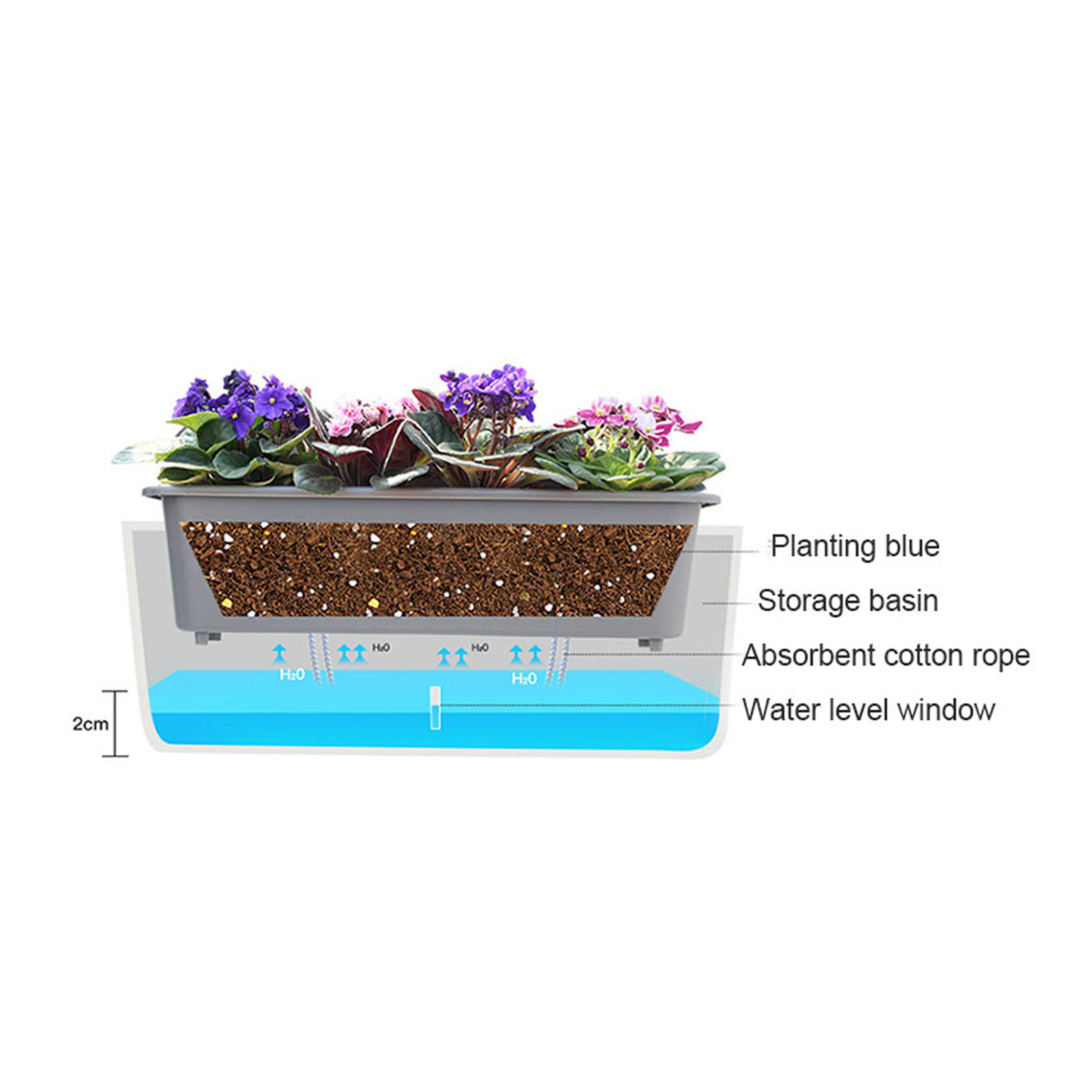 กระถางปลูกต้นไม้รดน้ําด้วยตนเอ - Self Watering Insert บทวิจารณ์และราคา
