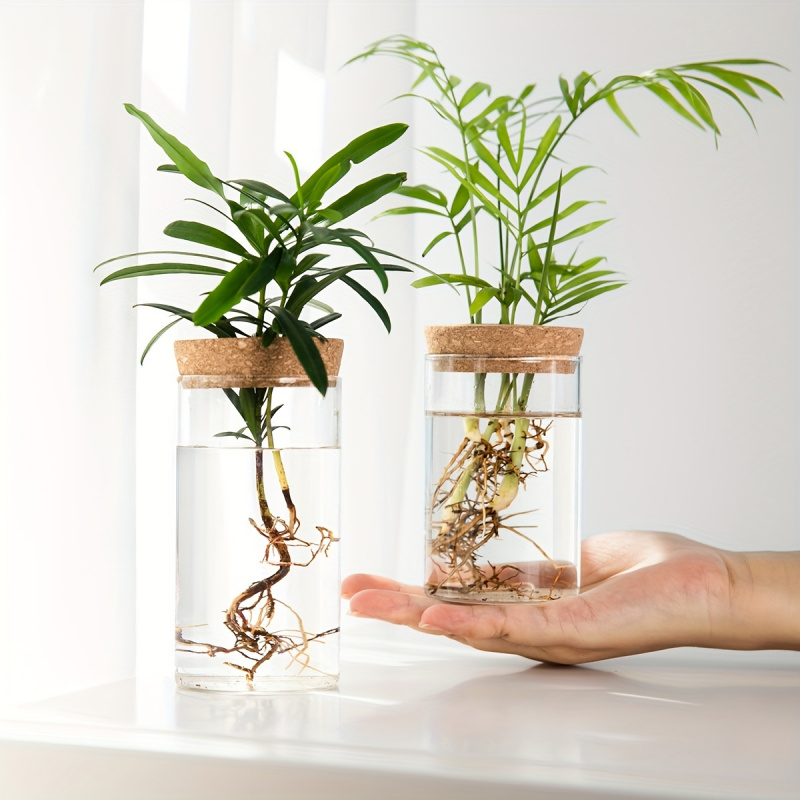 1ชิ้น, ไฮโดรโปนิกส์พืชแจกันปลู - Propagation Station Vase บทวิจารณ์และราคา