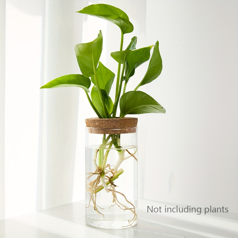 1ชิ้น, ไฮโดรโปนิกส์พืชแจกันปลู - Propagation Station Vase บทวิจารณ์และราคา