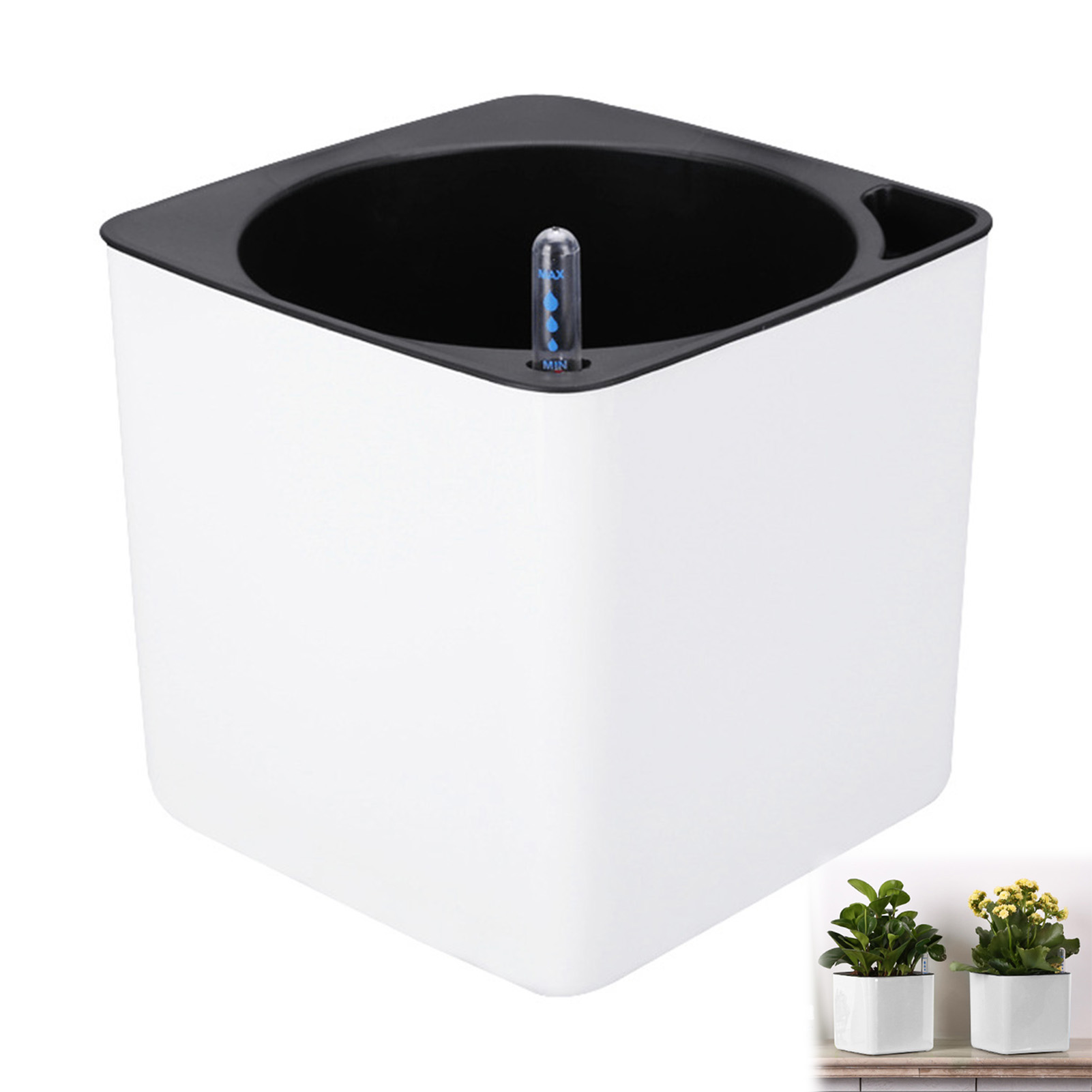 กระถางต้นไม้รดน้ำอัตโนมัติ กระ - Self Watering Insert บทวิจารณ์และราคา