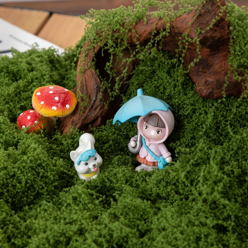 มอสอมตะ 200 กรัม สำหรับงาน DIY - Sphagnum Moss Dry บทวิจารณ์และราคา