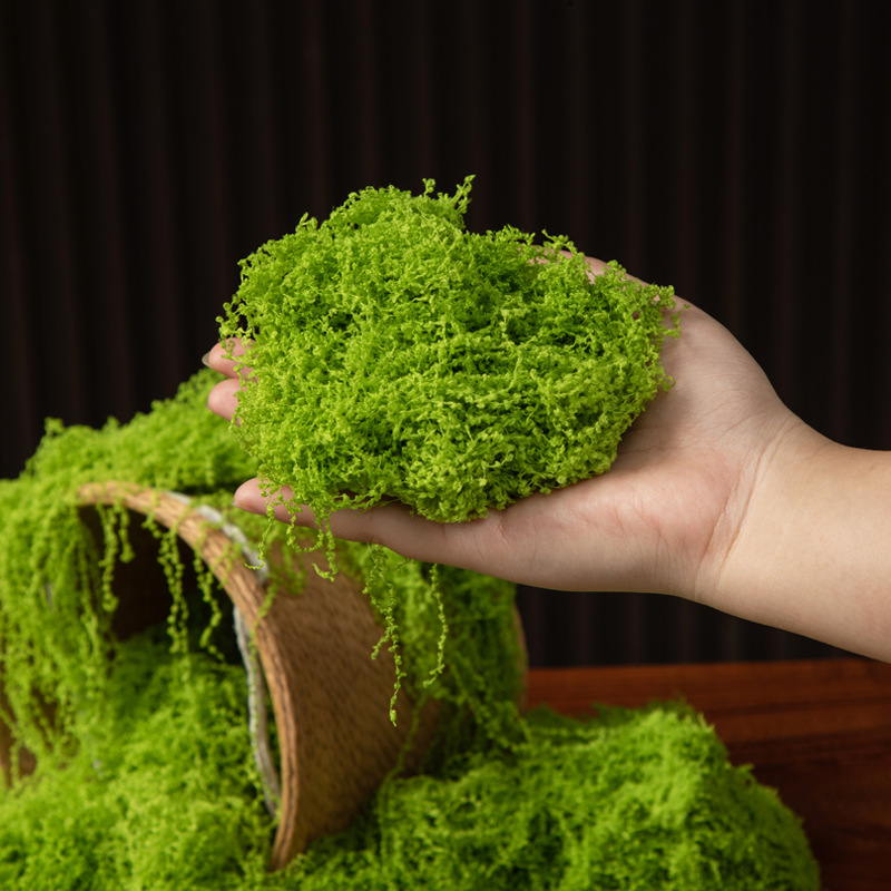 มอสอมตะ 200 กรัม สำหรับงาน DIY - Sphagnum Moss Dry บทวิจารณ์และราคา