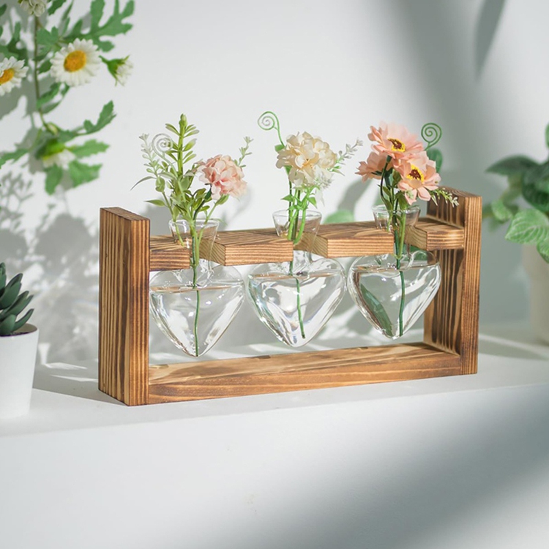 สถานีเพาะพันธุ์พืชแบบแก้ว: แจก - Propagation Station Vase บทวิจารณ์และราคา