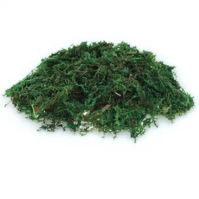 มอสปลอมตกแต่ง 1 แพ็ค ดูเป็นธรร - Sphagnum Moss Dry บทวิจารณ์และราคา