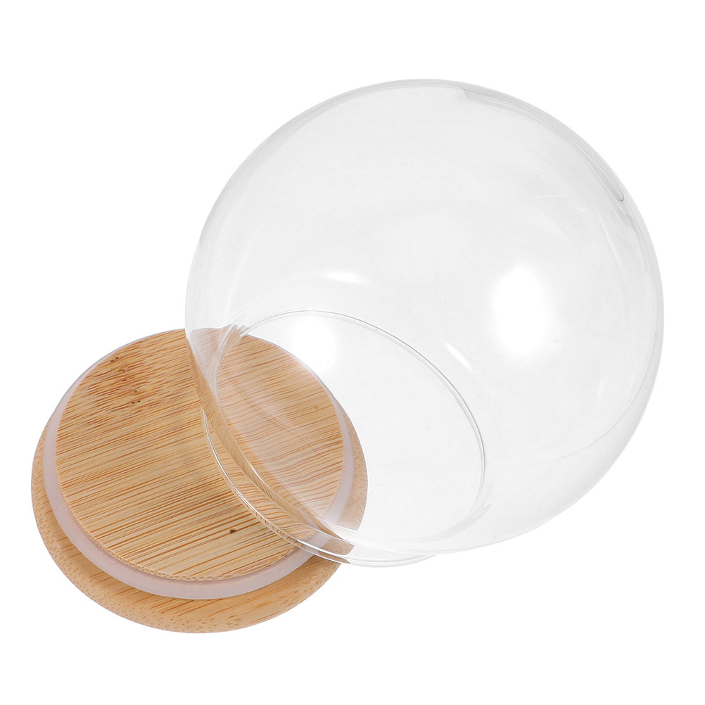 โดมแก้วใสป้องกันฝุ่น ขนาด 13 ซ - Plastic Dome Clear บทวิจารณ์และราคา