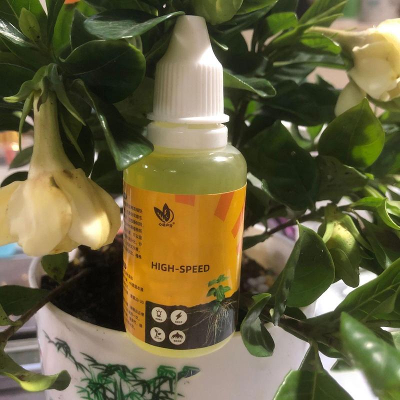 50ml เครื่องกระตุ้นรากพืช Liqu - Root Stimulator Liquid บทวิจารณ์และราคา