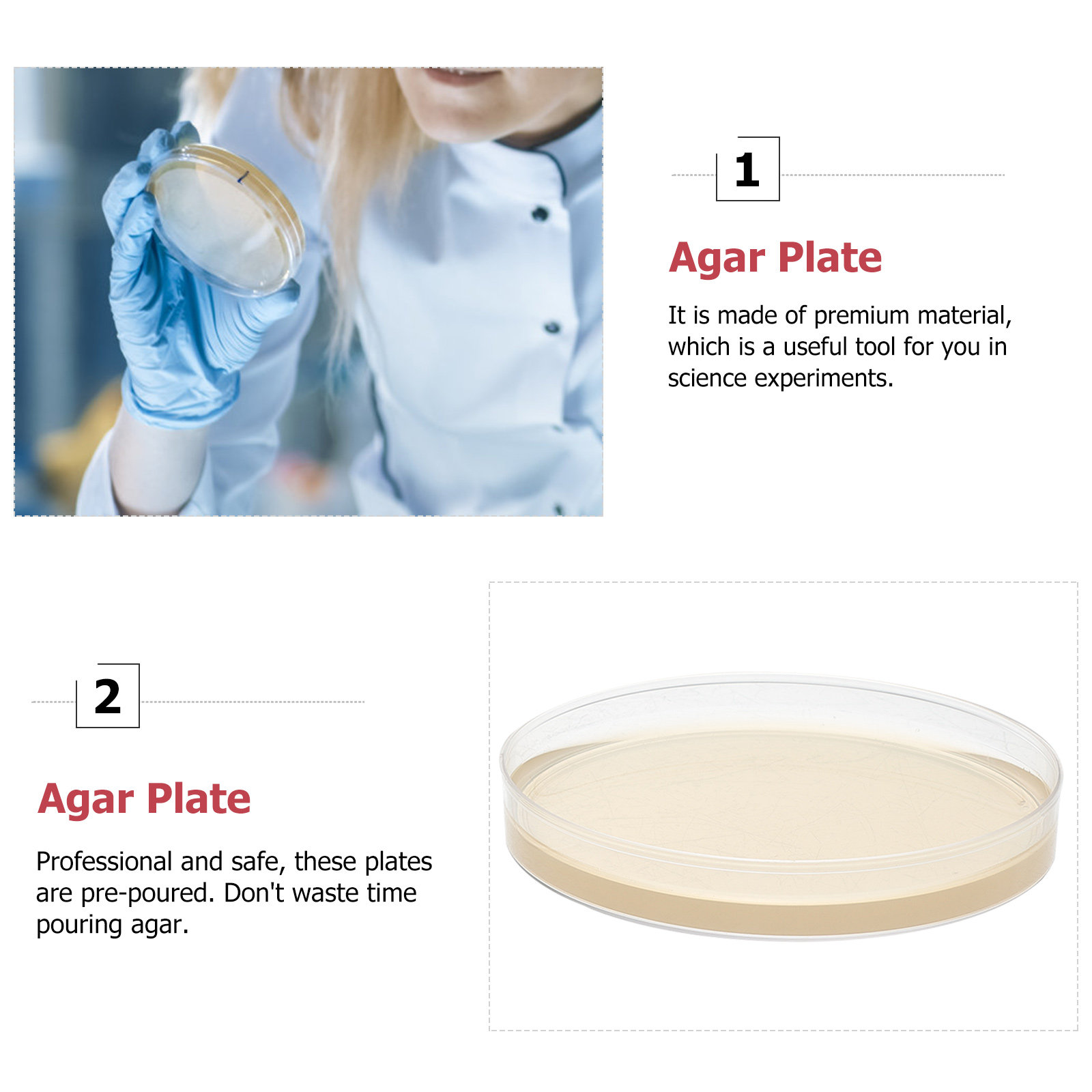 แผ่นเพาะเชื้ออะการ์พร้อมสารอาห - Agar Tissue Culture บทวิจารณ์และราคา