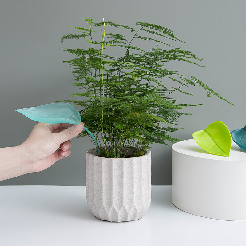 กรวยรดน้ำต้นไม้แบบสร้างสรรค์สำ - Self Watering Insert บทวิจารณ์และราคา