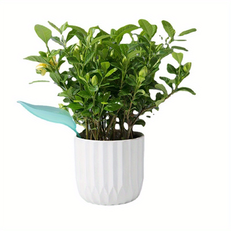 กรวยรดน้ำต้นไม้แบบสร้างสรรค์สำ - Self Watering Insert บทวิจารณ์และราคา