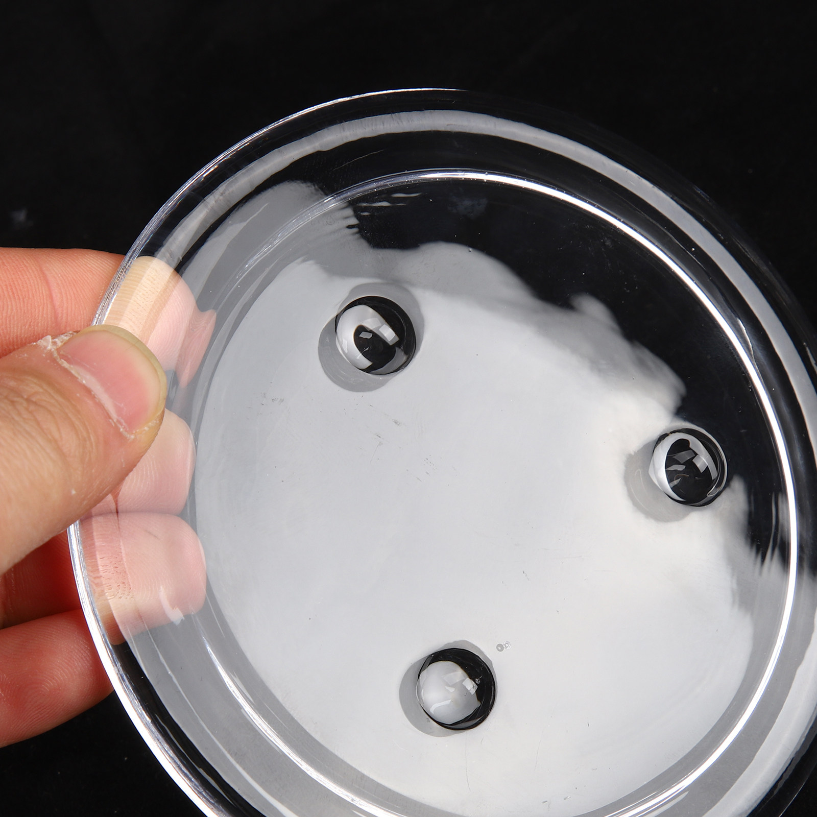 โดมแก้วใสสำหรับดอกไม้แห้ง ฝาคร - Plastic Dome Clear บทวิจารณ์และราคา