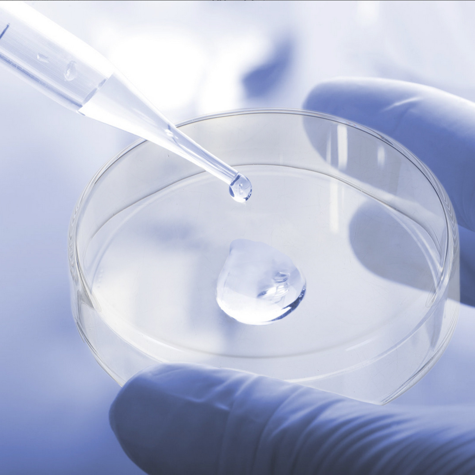 ชุดจานเพาะเชื้อแก้วหนาพิเศษ ทน - Agar Tissue Culture บทวิจารณ์และราคา