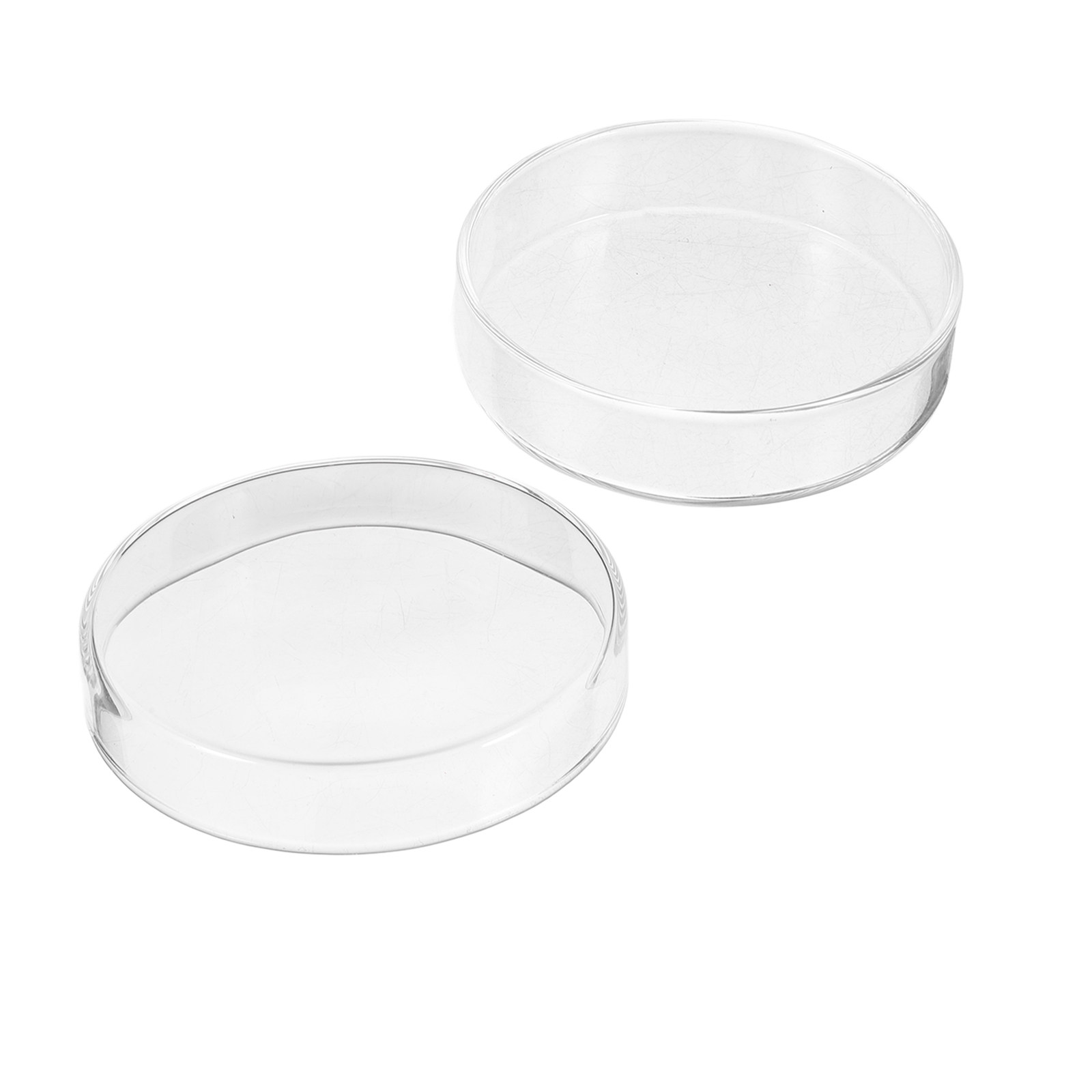 ชุดจานเพาะเชื้อแก้วหนาพิเศษ ทน - Agar Tissue Culture บทวิจารณ์และราคา