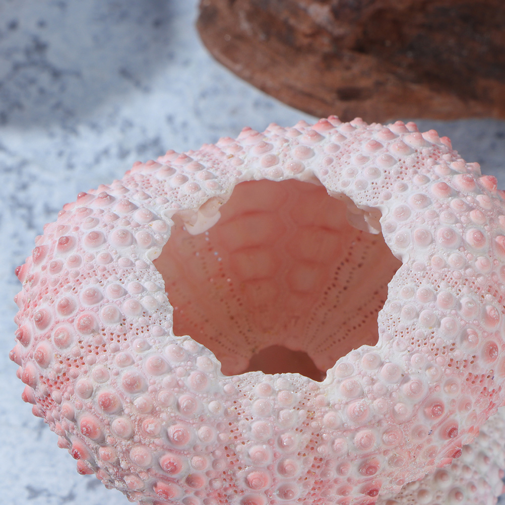 10Pcs DIY เครื่องประดับทำ Sea  - Propagation Station Vase บทวิจารณ์และราคา