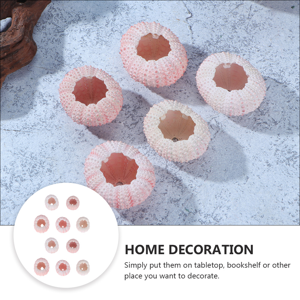 10Pcs DIY เครื่องประดับทำ Sea  - Propagation Station Vase บทวิจารณ์และราคา