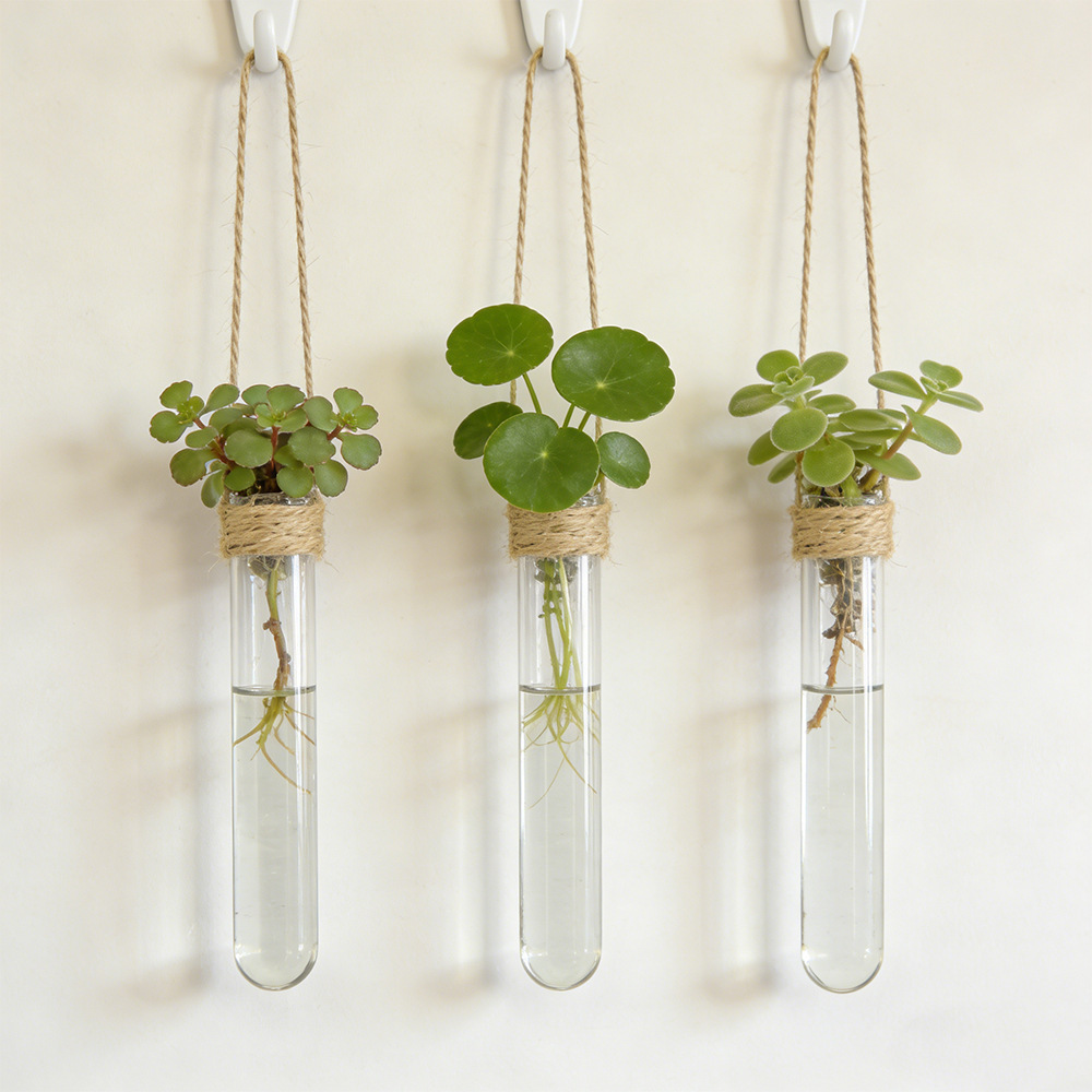 แจกันดอกไม้แบบไฮโดรโปนิกส์ติดผ - Propagation Station Vase บทวิจารณ์และราคา