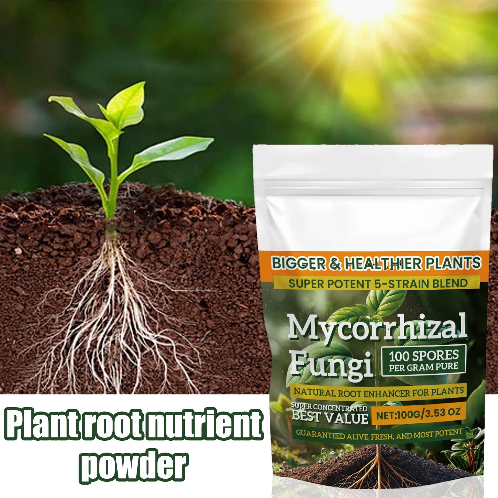 ผงธาตุอาหารพืชใหม่ 100 กรัม ผง - Rooting Hormone Powder บทวิจารณ์และราคา