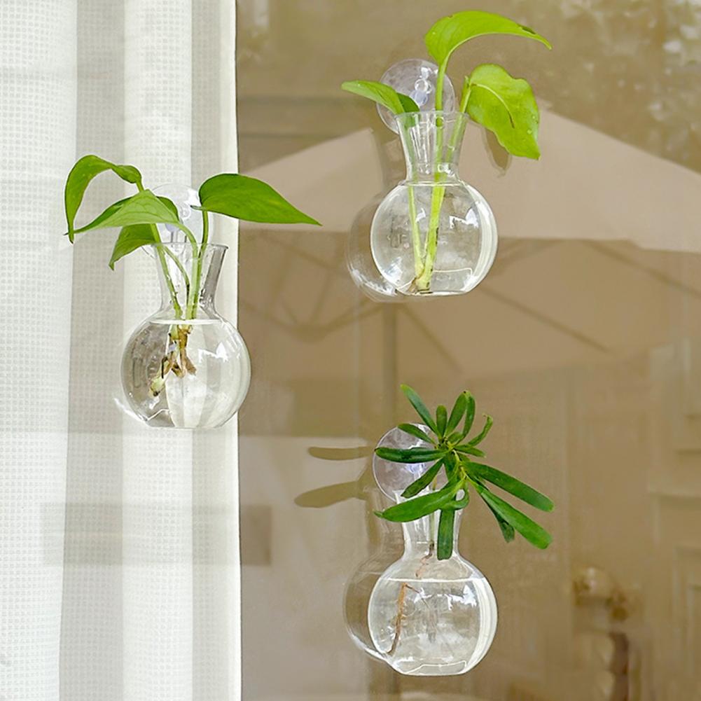 กระถางปลูกต้นไม้แบบติดหน้าต่าง - Propagation Station Vase บทวิจารณ์และราคา