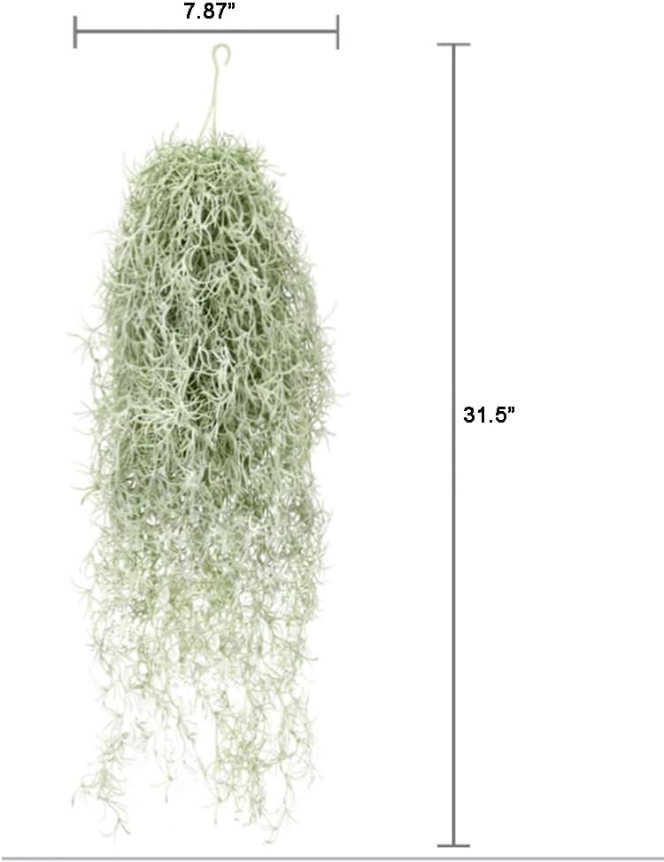 ประดิษฐ์ Flocking Tillandsia A - Sphagnum Moss Dry บทวิจารณ์และราคา