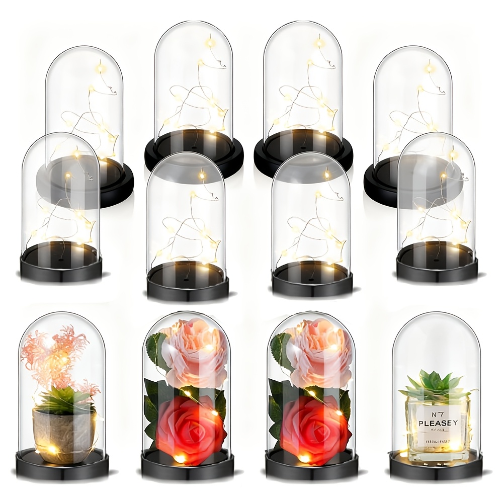 กล่องใส่ลูกบอลประดับคริสต์มาสพ - Plastic Dome Clear บทวิจารณ์และราคา