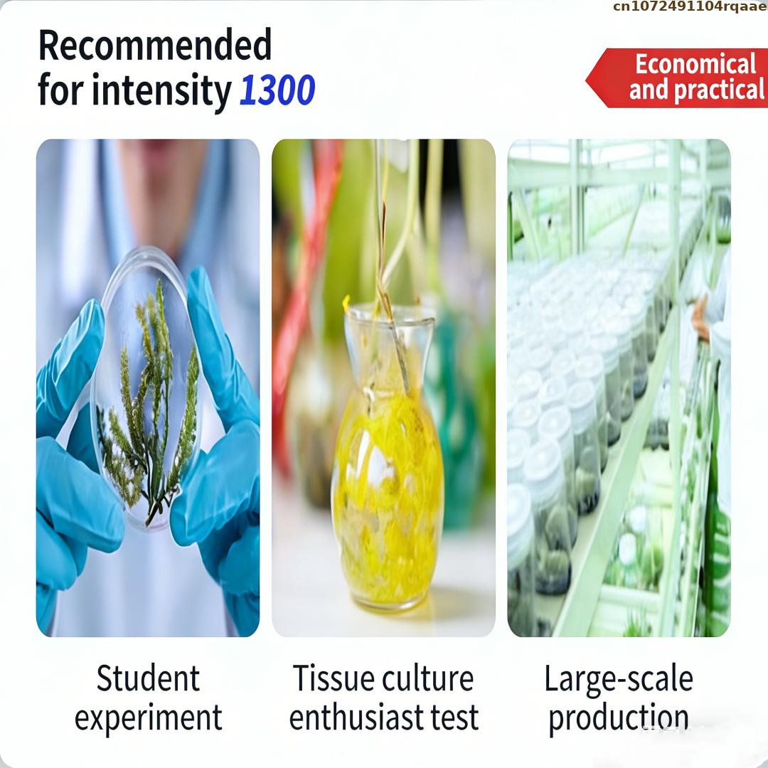ผงอะการ์เพาะเลี้ยงเนื้อเยื่อพื - Agar Tissue Culture บทวิจารณ์และราคา