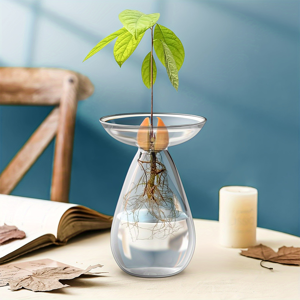แจกันปลูกอะโวคาโดแบบไฮโดรโปนิก - Propagation Station Vase บทวิจารณ์และราคา