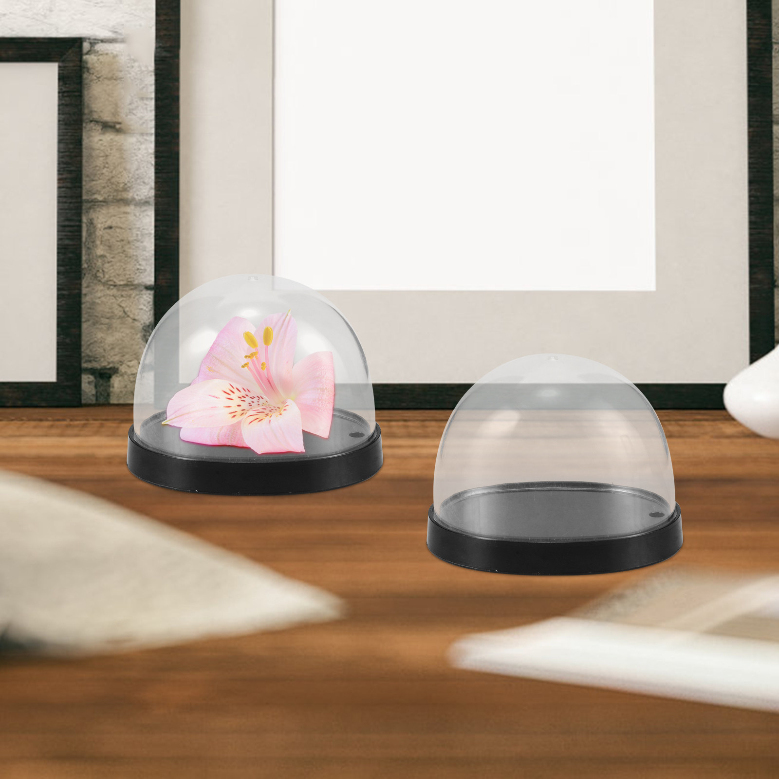 ชุดโดมพลาสติกใสคุณภาพสูง 5 ชิ้ - Plastic Dome Clear บทวิจารณ์และราคา