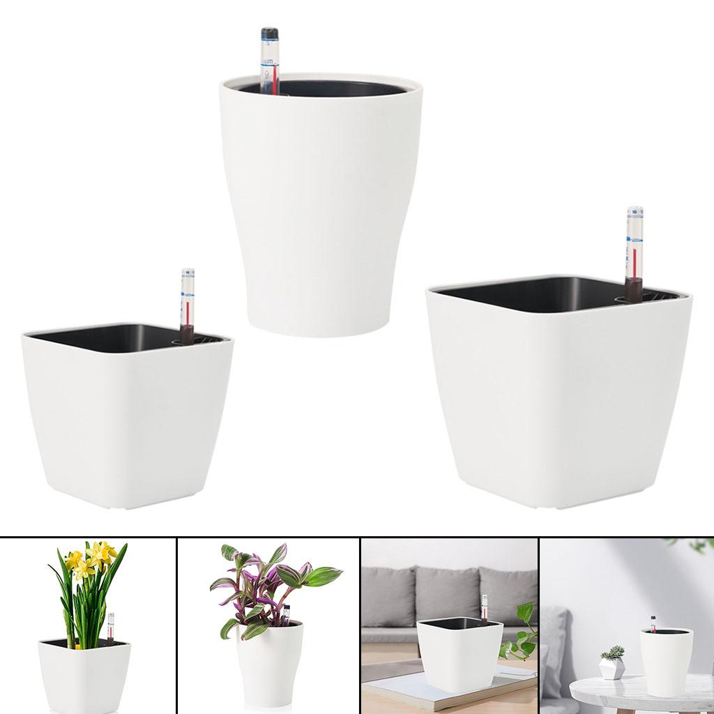 กระถางต้นไม้พลาสติกสีขาวแบบรดน - Self Watering Insert บทวิจารณ์และราคา