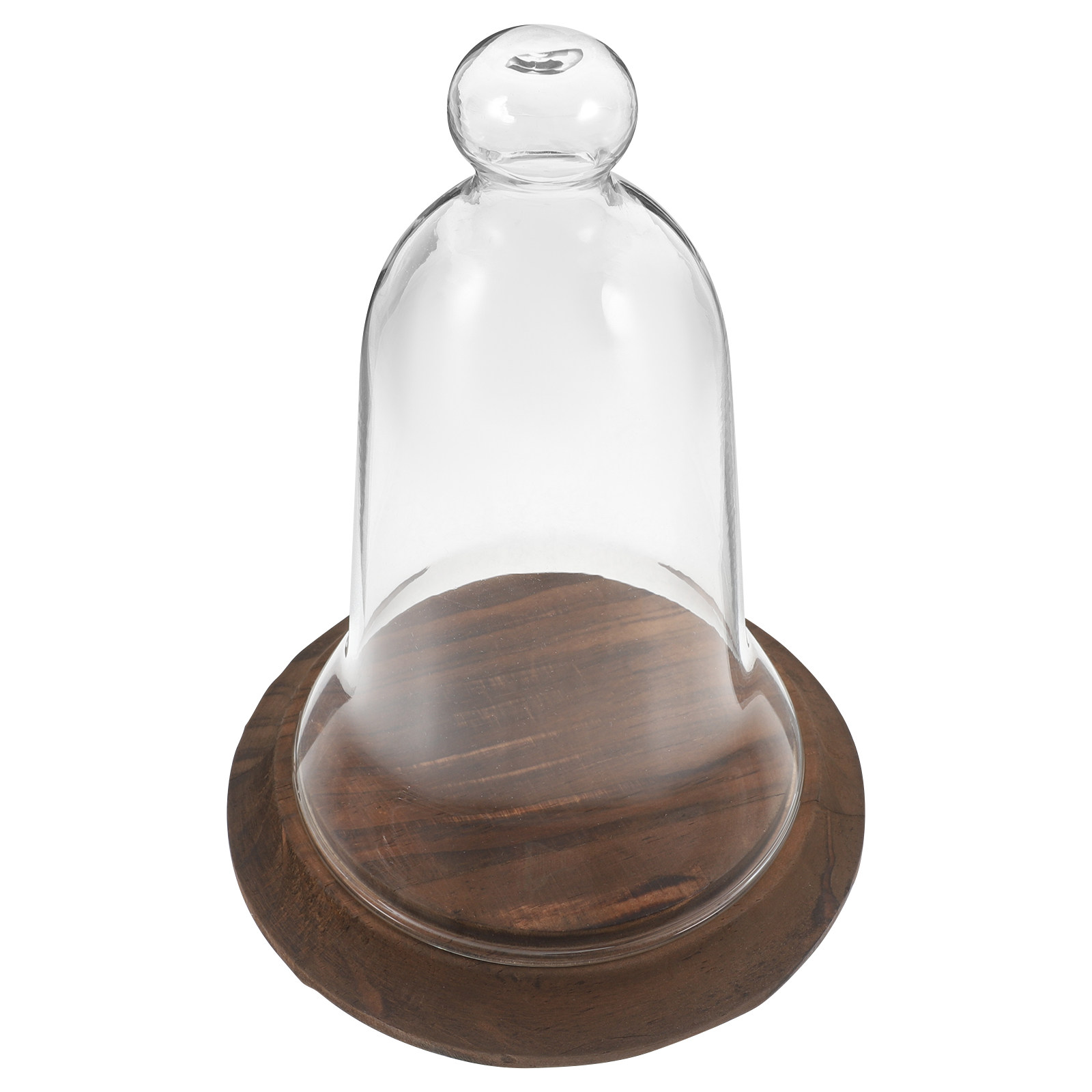 โดมแก้วใสทรงกระบอก ทำจากแก้วโบ - Plastic Dome Clear บทวิจารณ์และราคา