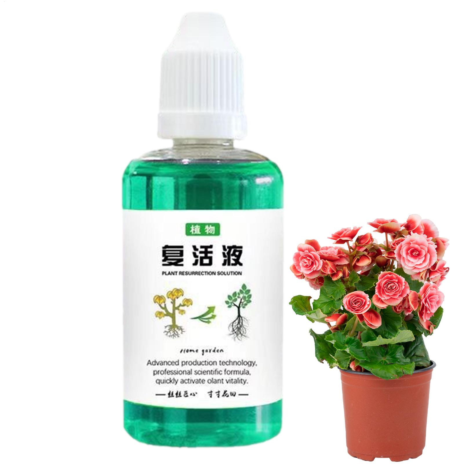 สารกระตุ้นรากสำหรับพืช 50 มล.  - Root Stimulator Liquid บทวิจารณ์และราคา