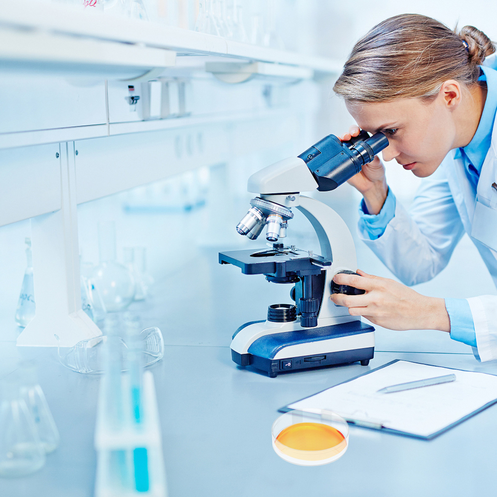 จานเพาะเลี้ยงเชื้อพลาสติกใส 30 - Agar Tissue Culture บทวิจารณ์และราคา