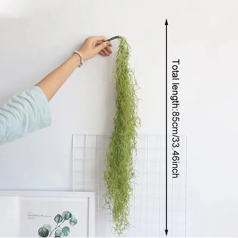 1/3/5 ชิ้น พืชหญ้าสีเขียว ต้นไ - Sphagnum Moss Dry บทวิจารณ์และราคา
